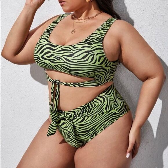 Zebra Print Bikini Set - Picture 1 of 4